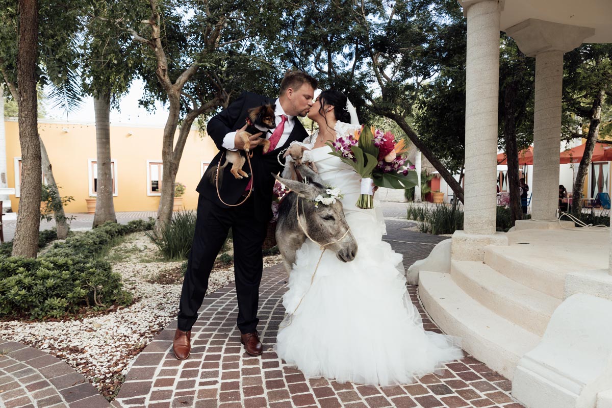 Newlyweds kiss holding their precious puppies